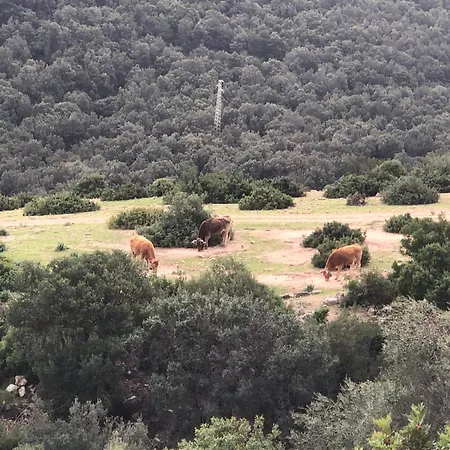 Casa Fulvia דירה קרדדו