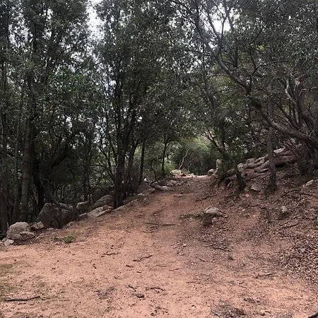 Casa Fulvia דירה *